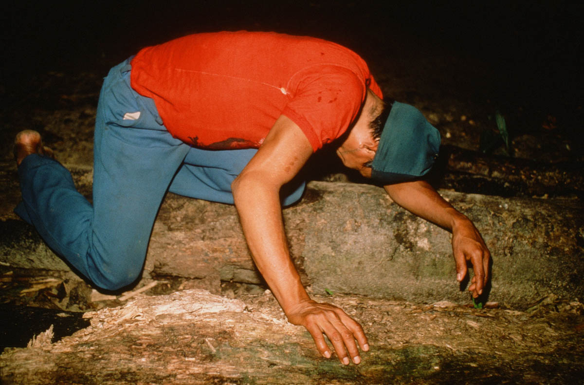 Sapo-In-My-Soul_Pablo--suffering from sapo prior to setting his sapo tapir trap